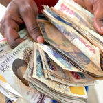 ways to earn more money, Financial Resilience, Naira, banknotes