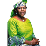 Awolowo, Tribune