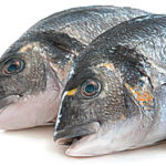 allergic fish