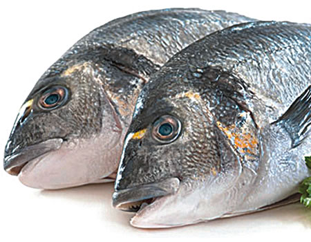 allergic fish
