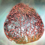 BLOOD vessel
