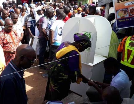 Domestic observers
