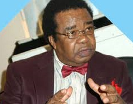 Heed US warning, caution politicians over million-man marches, Akinyemi tells FG