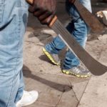 Suspected cultists kill former Ogun deputy speaker's cousin, LG boss' aide killed by gunmen in Lagos, Cult, Police warn cultists