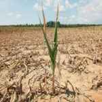 Drought
