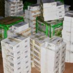 INEC, Edo election sorting, police by-election