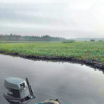 water hyacinth, water disrupt Lagos waterways transportation