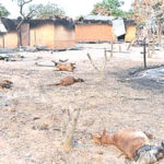 southern Kaduna