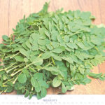 benefits of Moringa oleifera, HERBS, stomach ulcer, moringa