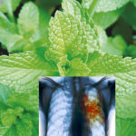 diabetes medication
