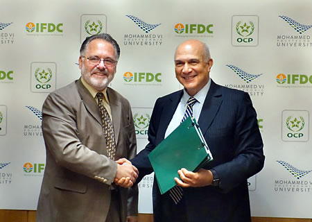 IFDC