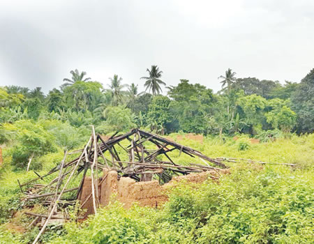 deyoruwa