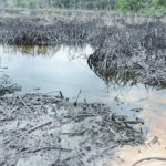 Ogoni, pollution, oil spillage