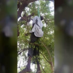 16-year-old boy commits suicide