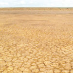 Soil degradation will worsen food crisis