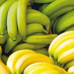 plantain, banana platform in Edo