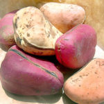 kola nut, kola nut to suppress morning sickness