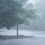 rain