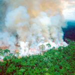 Amazon fires