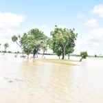 flood victim