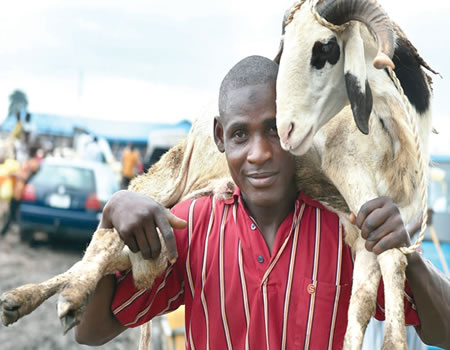 Low-key sallah: Economic crisis forces Muslims to avoid ram sacrifice