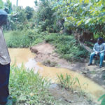 Baba pupa community