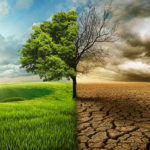 Experts advocate smart farming practices