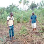 farmers