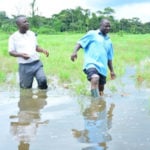rice farmers, water resources