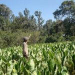 LNRBDA solving farmers' food , NSPRI crops, gates foundation