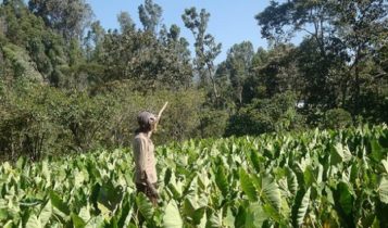 LNRBDA solving farmers' food , NSPRI crops, gates foundation