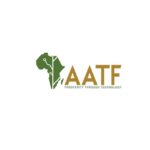 AATF’s intervention assisted Nigeria AATF announces launch of seed,AATF trains Nigeria seed, PBR beans to address, agricultural waste, AATF, sub-Saharan Africa, food, farmers, AATF, PBR cowpea
