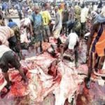 NVMA abattoirs