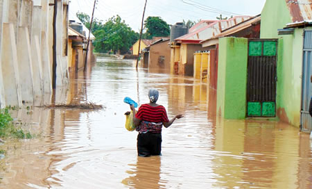 Adamawa flood, farmers, emergency management agency