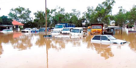 Adamawa flood, farmers, emergency management agency