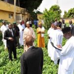 Gombe, Court of Appeal