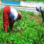 farmers Women training Standard Bank