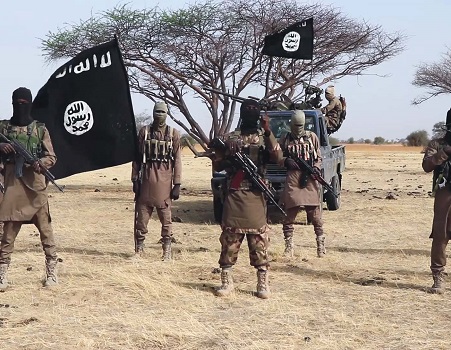 NGO insurgent committee