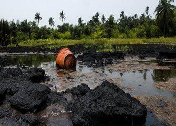 London court begins trial , Oil spill, shell, Bayelsa, clean-up, women