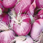onions