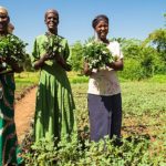 Agric colleges to get more outreach centres, agricultural Africa ogun, Agriculture Climate change
