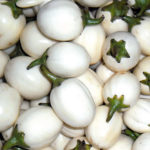 Garden egg
