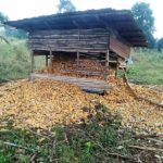 Ekiti, herdsmen, farmland