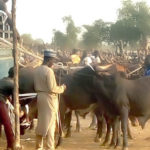 Miyyeti Allah insecurity