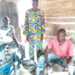 agribusiness