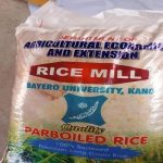 BUK, Rice, Kano, University