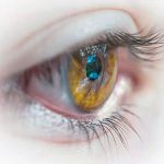 Eye