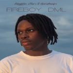 Fireboy, DML, YBNL