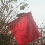 Flag, herdsmen