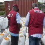 NDLEA seizes over 179 kilogrammes of illicit drugs in Ebonyi, NDLEA nabs father of three , Wanted drug dealer , NDLEA arrests fake soldier, NDLEA arrest three, NDLEA arrests 133, NDLEA, illicit drugs, Anambra, cocaine meant for Boko Haram, NDLEA, NDLEA drug traffickers